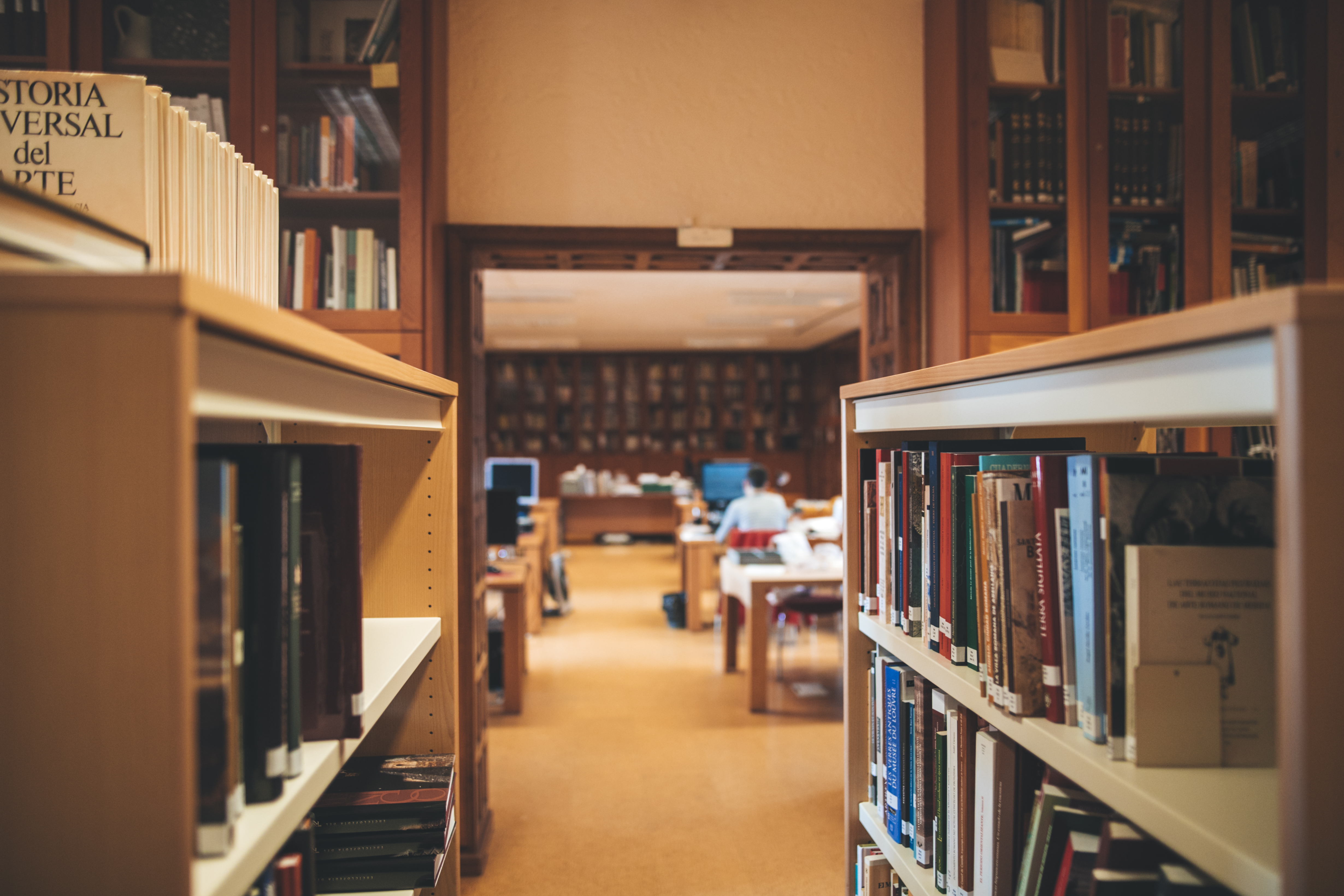 biblioteca_organización